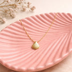 Golden seashell necklace - MYSTY
